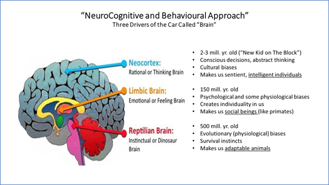 Diagram - The Science of Coding